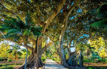 san_anton_gardens_013_big